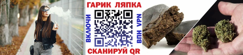 ГАШ Изолятор  купить   Саяногорск 