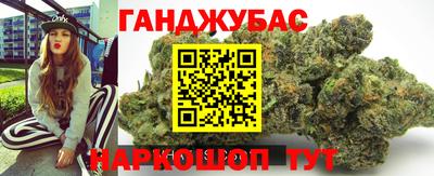 СК Новодвинск