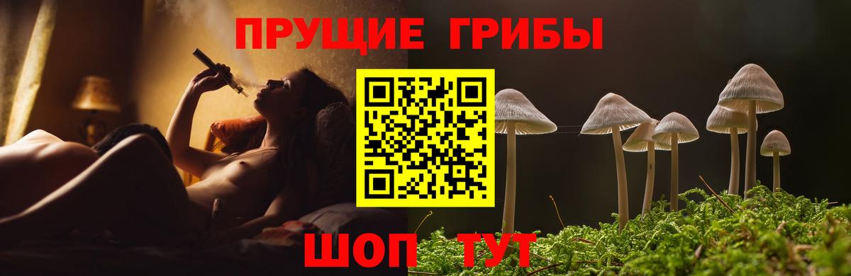 Галлюциногенные грибы GOLDEN TEACHER  Галлюциногенные грибы Magic Shrooms  купить наркотик  Вход с VPN  Саяногорск 